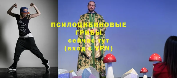 спиды Краснослободск