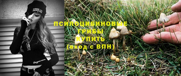стаф Краснотурьинск