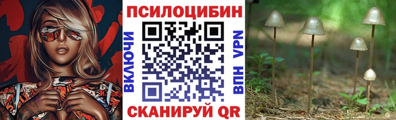 Галлюциногенные грибы мицелий  Купить  Сычёвка 